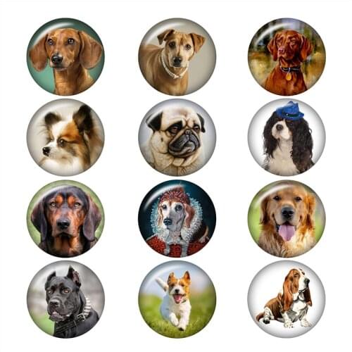 LOVE dog glass snap button Round photo glass cabochon demo flat back Making findings 12mm/18mm/20mm/25mm A6747