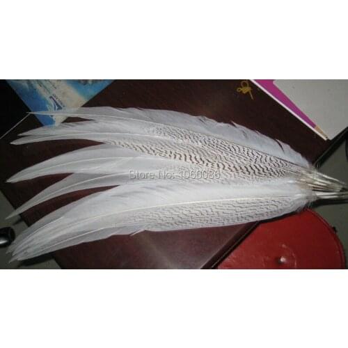 EMS Free Shipping 50pcs Silver pheasant Feathers 60-65 24-26inch White pheasant silver Feathers DIY Feathers Cloth accessory