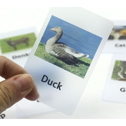 Montessori Language Materials Waterproof PVC Animal Matching Cards Educational Toys For Children Juguetes Motnessori K2464H