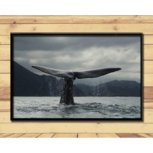 Humpback Whale Ferocious Giant Marine Animal (23) Wall Posters Prints Silk Art Painting For Home Wall Bedroom Decor