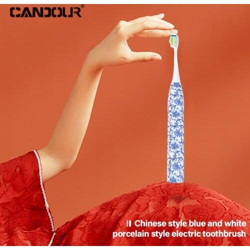 Sonic Electric Toothbrush Blue and white pottery Chinese style CD5166 USB Rechargeable 15 Modes Toothbrushes Brush 16 Heads