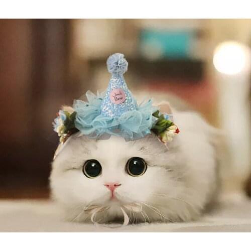 Creative Cat Dog Headband Birthday Cap Photography Props Cats Dogs Head Decor Headwear Pets Dress Up Lace Hat Pet Accessories