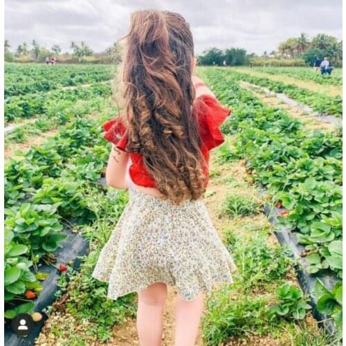 Sweet 2Pieces Kids Suit Set, Summer Solid Color Round Neck Flay Sleeve Tops+ Floral Print Midi Skirt for Girls, Red,1-6Years