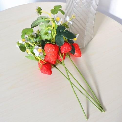 QINWEGE LIFE Artificial Fruit