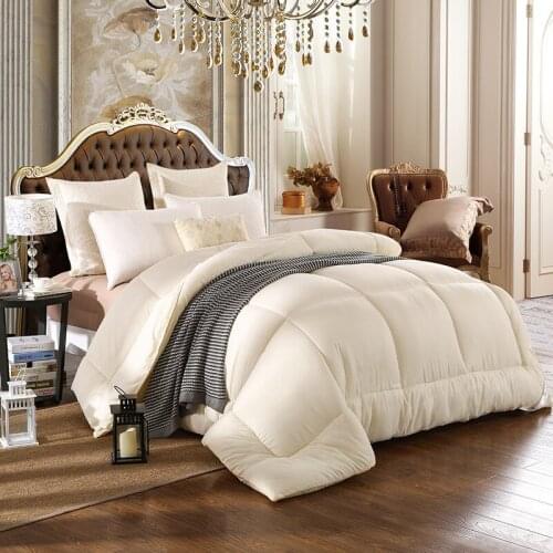 2021 Cotton Comforter Keep Warm The Quilt Core White Velvet Thickening Warm Winter Quilt Best Gift