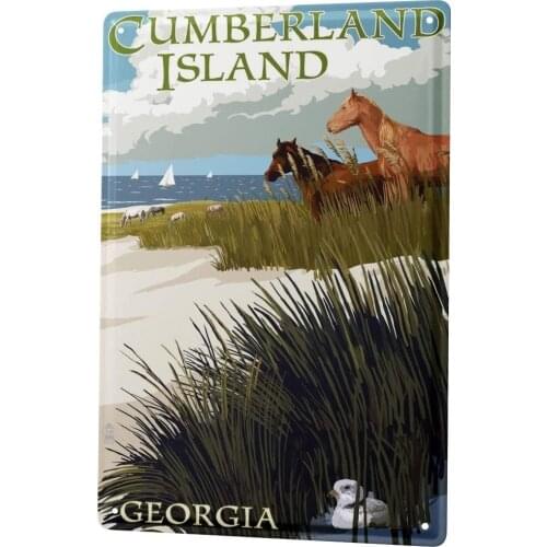 SINCE 2004 Tin Shield Adventurers Georgia Horses