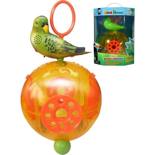 Eastcolight DIY Toys