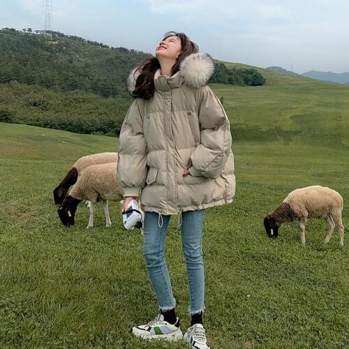 Womens Winter Jacket Thick Korean Style Woman Parkas Big Fur Collar Women Coats Female Jackets Clothes Vetement Femme WPY964