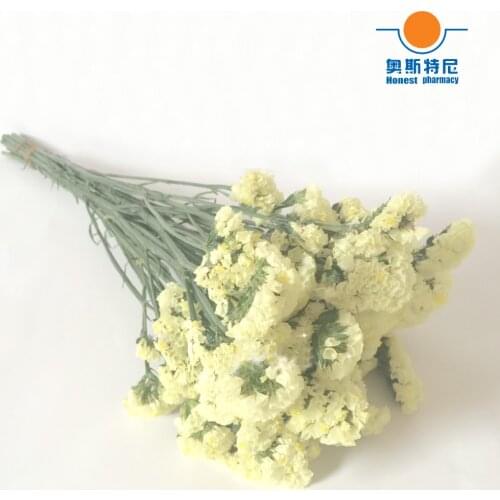 Yellow color dried natural flower bouquets natural dried Myosotis Sylvatica bouquets&Forget me not Flower bouquets