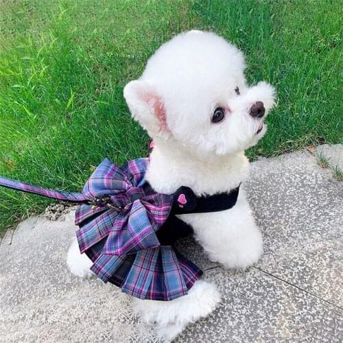 Small Dog Dress with Leash Set Puppy Cat Harness Dresses Chihuahua Yorkie Shih Tzu Poodle Schnauzer Dog Clothes Pet Supplies