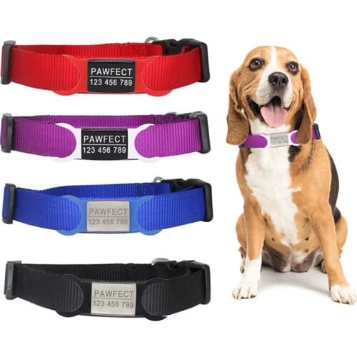Colorful Personalized Customized ID Nylon Dog Collars Free Engraving Stainless Steel for Adjustable Collar Medium Necklace