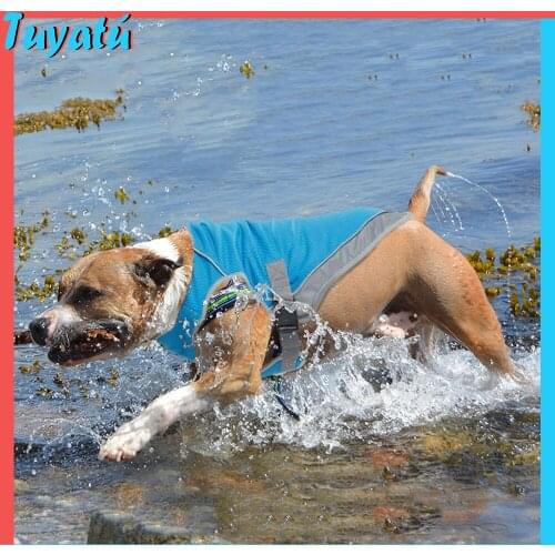 Жилетки для собак MicroPlush China At AliExpress