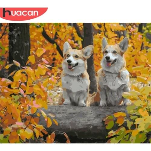 HUACAN Painting By Number Dog Drawing On Canvas HandPainted Paint Art Gift DIY Pictures By Number Animals Kits Home Decor