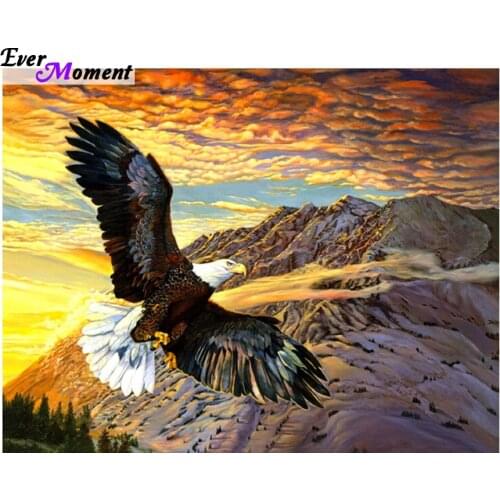 Diamond embroidery 5D animal diamond cross stitch crystal square diamond sets decorative diy diamond painting eagle ASF439