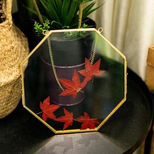 Vintage Style Wall Hanging Brass Hanging Photo Frame for Display Plant Specimen Dried Flowers DIY Artwork Ornament Display