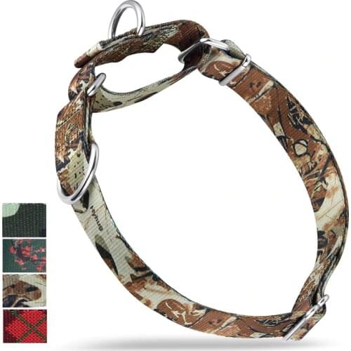 Hyhug Pets Anti-escape Martingale Dog Collar - Double D Ring Can Attached ID Tags or Using for Regular Collar