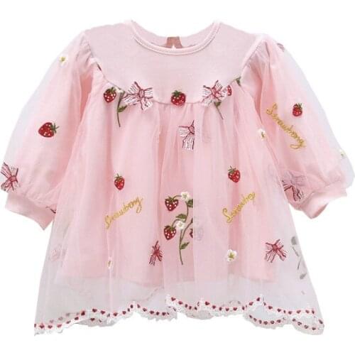 Baby Girls Princess Dress Strawberry Embroidery Christening Wedding Birthday Pageant Party Bridesmaid Dresses Kids Clothes 0-3Y