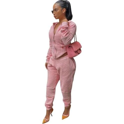 Hooded Zipper Two Piece Set Casual Irregular Long Sleeve Crop Top and Pants Set Female Solid Women Sporty Teddy Velvet Tracksuit