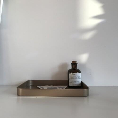 Nordic Ins Dark Copper Drink Golden Plate Black Cafe Simple Decoration Home Decor Metal Frosted Flat Plate