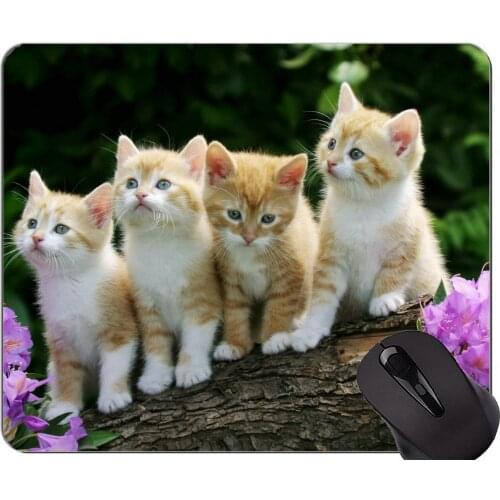 Gaming Mouse Pad Custom,Baby Animal Kitten Animal Cute Spring Cat Home Office Computer Accessories Mousepads