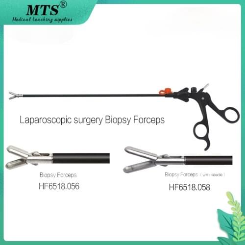 Medical Biopsy Forceps Laparoscopic Surgery Instruments for Endoscopic surgical or teaching