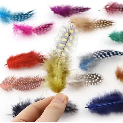 20Pcs/set Lovely Different Color Guinea Fowl Feather Cute Fashion DIY Ornament Accessories 5-10cm