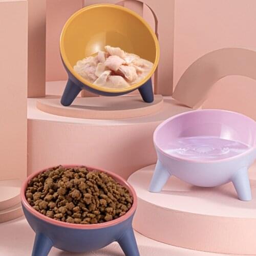 Raised Tilted Elevated Bowl Pet Cats Dogs Food Water Dish Backflow Prevention