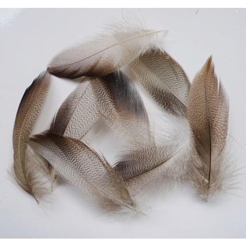 Cheap! 200Pcs 7-12cm Duck Pheasant Chicken Feathers For Crafts Clothing Mask Jewelry Headwear Christmas Holiday Decoration Plume