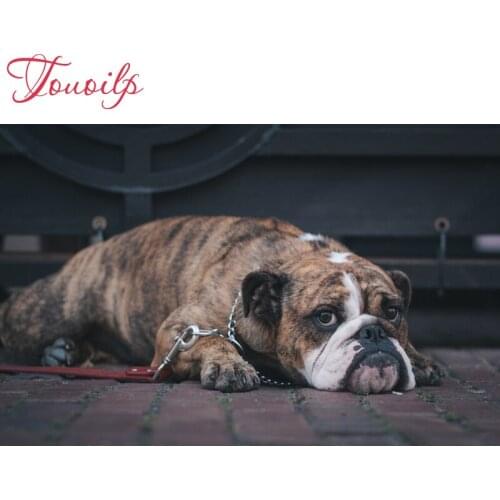 5D spuare&round dog diamond embroidery diamond Patterns Rhinestone French Bulldog diamond painting cross stitchneedlework