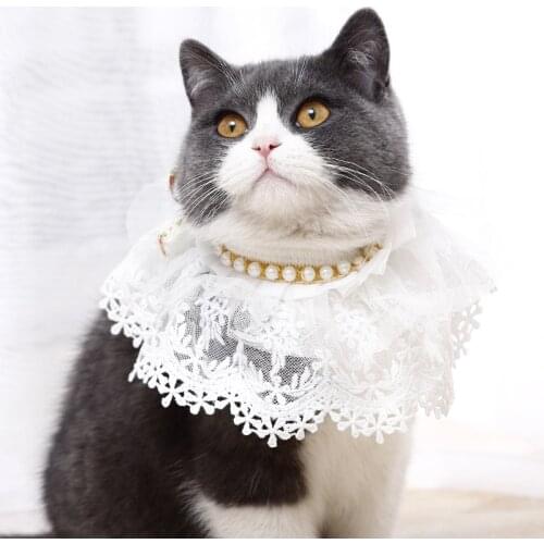 Pet String of beads Collar Dog Pearl double layer Lace Edge Bib Cat Mesh Scarf Pet Accessories for puppy