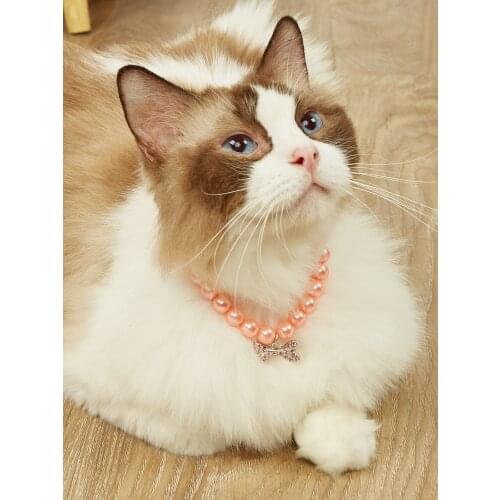 PET Dog Cat Pearls Necklace Collar Bling Accessories Ribbon Bone Charm Pendant Pet Puppy Jewelry for Female Puppy Chihuahua York