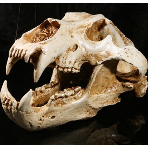 Simulation Animal Polar Bear Skull Resin Crafts Specimen Medical Teaching Scary Home Decoration Skeleton Model Aquarium Decor