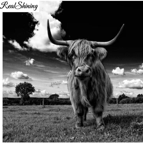 5d diy diamond painting scottish highland cow diamond embroidery sale mosaic painting accessories rhinestones pictures FS3271