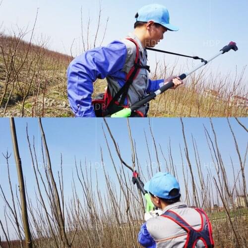 CE long arm orchard and garden electric pole pruner (HDP36-2)