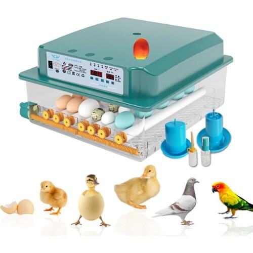 Incubator Egg Incubator Fully Automatic Incubator Household Brooder Farm Chicken Incubator Bird Egg Incubator 6-16 Eggs