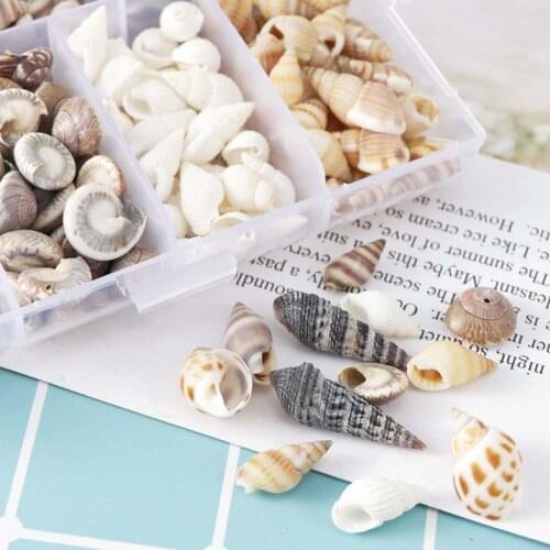 100Pcs/Box Natural Conch Shells Mini Conch Corn Screw Wall Decoration DIY Aquarium Landscape Seashells Jewelry DIY Craft