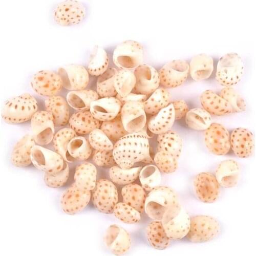 20Pcs Natural Dyed Speckle Shell Beads For Handmade Furnishings Home Decor Seashell DIY Aquarium Fish Tank Landscape 12-17mm