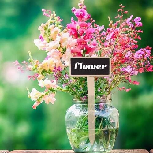 Plant Pot Labels Tag T Shape Wooden Plant Sign Tags Garden Markers for Seed Potted Herbs Flowers Vegetable Fast delivery Shippin