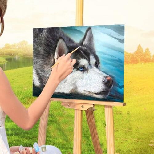Animal Dog Husky Painting By Numbers Set Oil Paints 40*50 Paiting By Numbers Wall Decoration Kids Drawing