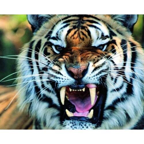 Full Square/Round Drill 5D DIY Diamond Painting Tiger Embroidery Cross Stitch 3D Home Decor
