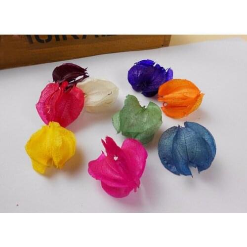 100pcs Cape Gooseberry Preserved Flower For Wedding Party Home Decoration DIY Bouquet Project Accessory