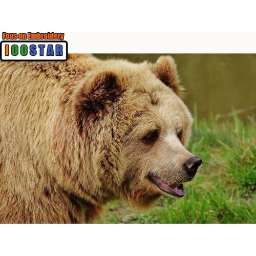 Full Square Diamond embroidery Cross stitch animal Full Round Diamond mosaic Brown 3D DIY Diamond painting Bear