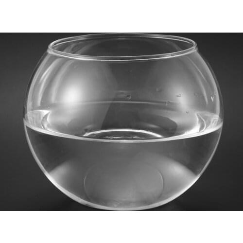 Round Sphere Vase in Transparent Glass Fish Tank