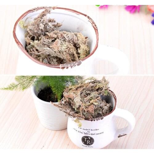 New 6L Water Moss Water Grass Substrates Nutrition Organic Fertilizer Orchid Phalaenopsis Musgo Sphagnum