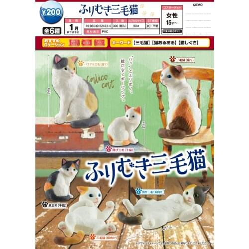 Japan EPOCH Gashapon Capsule Toys Cat Tatami Animal Model Table Ornaments Decoration Cute Felinae Cat