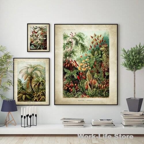 Biology Posters Palm Tree Prints Vintage Hummingbird Botanical Tropical Wall Art Canvas Painting Pictures Decor