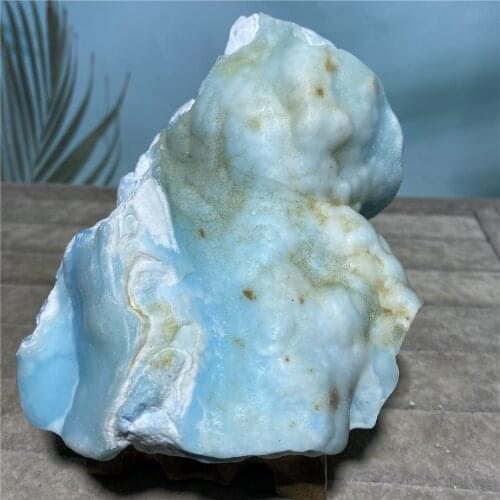 Natural Stone Fossil Trilobite Tail Animal Coral Science Collection Insect Teaching Crown Specimen Home Decor Reiki Healing Gift