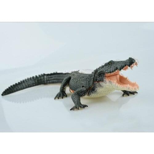 Transparent Animal Anatomy Model 4D Educational Puzzle Assembling Animal Model with Bone and Organ Medical Science Supplies