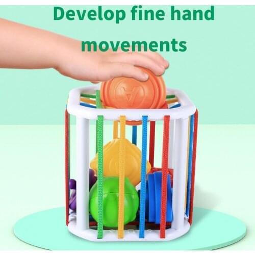 Real Bubee Montessori