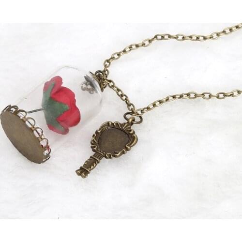 Women Romantic Dried Flowers Glass Bronze Long Chain Beauty and Beast Necklaces U2JF